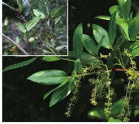 开云娱乐-睐睇眚睐睇眚傻遭眦璨iuytuy